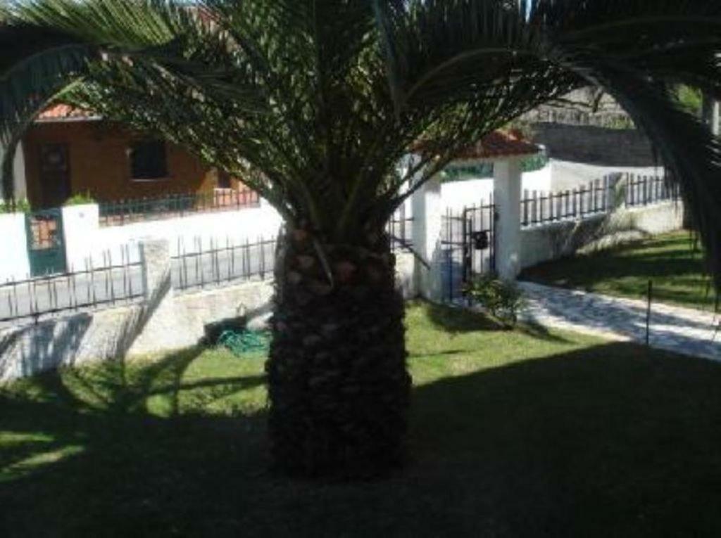 Vivenda Atlantico Hotel Vila Praia de Âncora Екстериор снимка